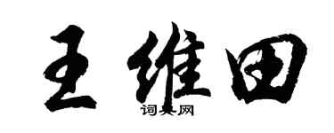 胡问遂王维田行书个性签名怎么写