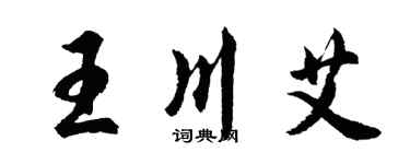 胡问遂王川艾行书个性签名怎么写