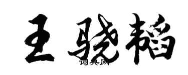 胡问遂王骁韬行书个性签名怎么写