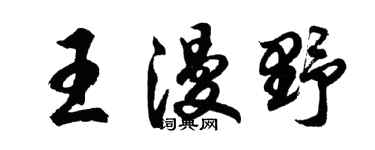 胡问遂王漫野行书个性签名怎么写