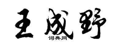 胡问遂王成野行书个性签名怎么写