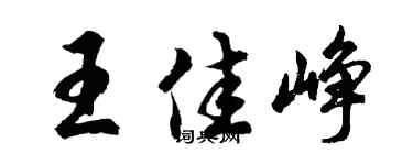 胡问遂王佳峥行书个性签名怎么写