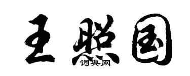 胡问遂王照国行书个性签名怎么写