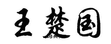 胡问遂王楚国行书个性签名怎么写