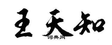 胡问遂王天知行书个性签名怎么写