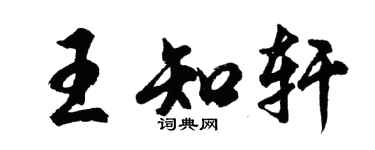 胡问遂王知轩行书个性签名怎么写