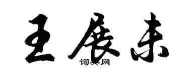 胡问遂王展未行书个性签名怎么写