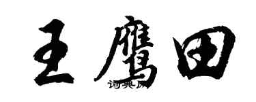 胡问遂王鹰田行书个性签名怎么写