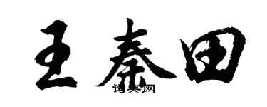 胡问遂王秦田行书个性签名怎么写