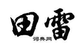 胡问遂田雷行书个性签名怎么写