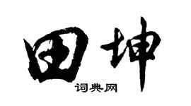 胡问遂田坤行书个性签名怎么写