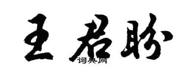 胡问遂王君盼行书个性签名怎么写