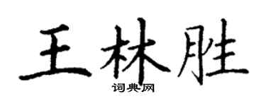 丁谦王林胜楷书个性签名怎么写