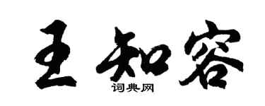 胡问遂王知容行书个性签名怎么写