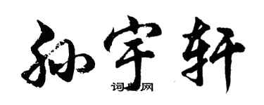 胡问遂孙宇轩行书个性签名怎么写