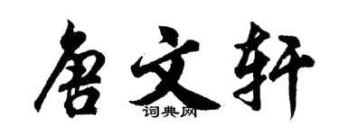 胡问遂唐文轩行书个性签名怎么写