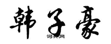 胡问遂韩子豪行书个性签名怎么写