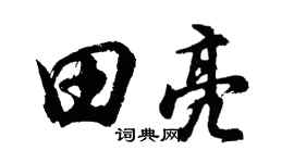 胡问遂田亮行书个性签名怎么写