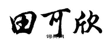 胡问遂田可欣行书个性签名怎么写