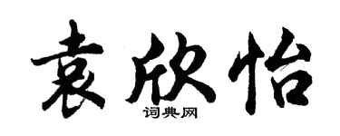 胡问遂袁欣怡行书个性签名怎么写