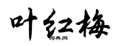 胡问遂叶红梅行书个性签名怎么写