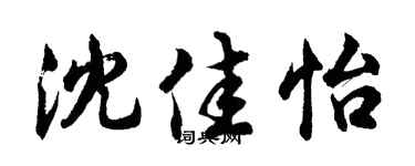 胡问遂沈佳怡行书个性签名怎么写