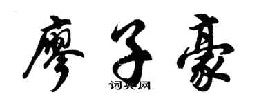 胡问遂廖子豪行书个性签名怎么写