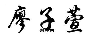 胡问遂廖子萱行书个性签名怎么写