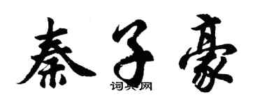 胡问遂秦子豪行书个性签名怎么写