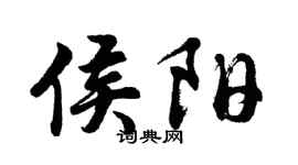 胡问遂侯阳行书个性签名怎么写