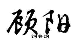 胡问遂顾阳行书个性签名怎么写