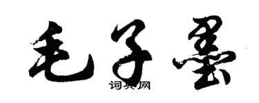 胡问遂毛子墨行书个性签名怎么写