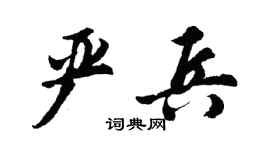 胡问遂严兵行书个性签名怎么写