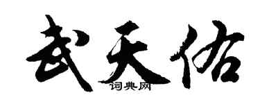 胡问遂武天佑行书个性签名怎么写