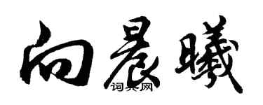 胡问遂向晨曦行书个性签名怎么写