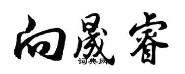 胡问遂向晟睿行书个性签名怎么写