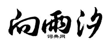 胡问遂向雨汐行书个性签名怎么写