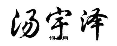 胡问遂汤宇泽行书个性签名怎么写