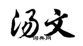 胡问遂汤文行书个性签名怎么写