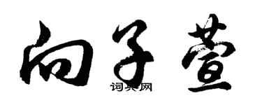 胡问遂向子萱行书个性签名怎么写