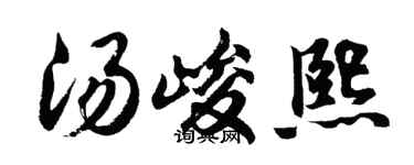 胡问遂汤峻熙行书个性签名怎么写