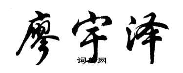 胡问遂廖宇泽行书个性签名怎么写