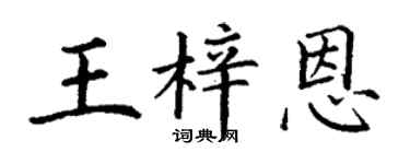 丁谦王梓恩楷书个性签名怎么写