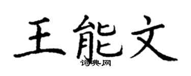 丁谦王能文楷书个性签名怎么写