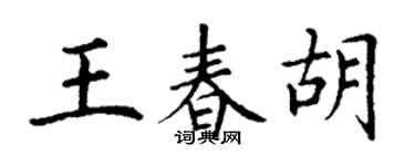 丁谦王春胡楷书个性签名怎么写