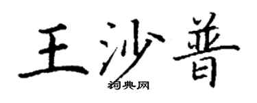 丁谦王沙普楷书个性签名怎么写