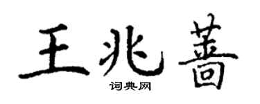 丁谦王兆蔷楷书个性签名怎么写