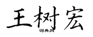 丁谦王树宏楷书个性签名怎么写