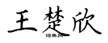 丁谦王楚欣楷书个性签名怎么写