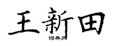 丁谦王新田楷书个性签名怎么写